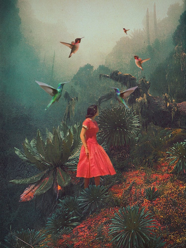  alkotó: Frank Moth
