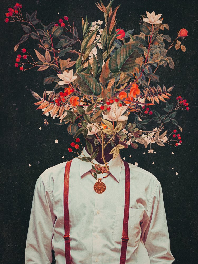  alkotó: Frank Moth