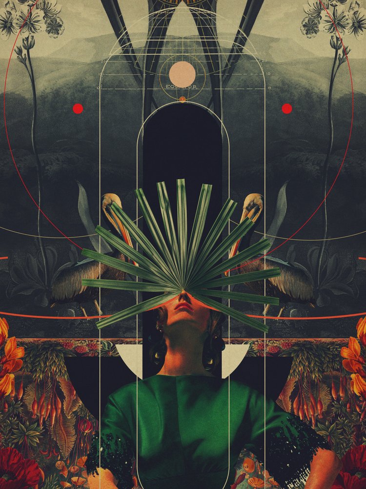  alkotó: Frank Moth