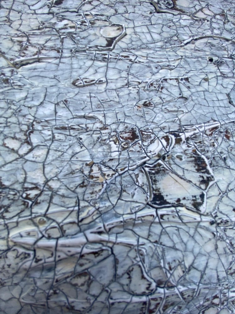  alkotó: Gabriela Aleksandra Szuba