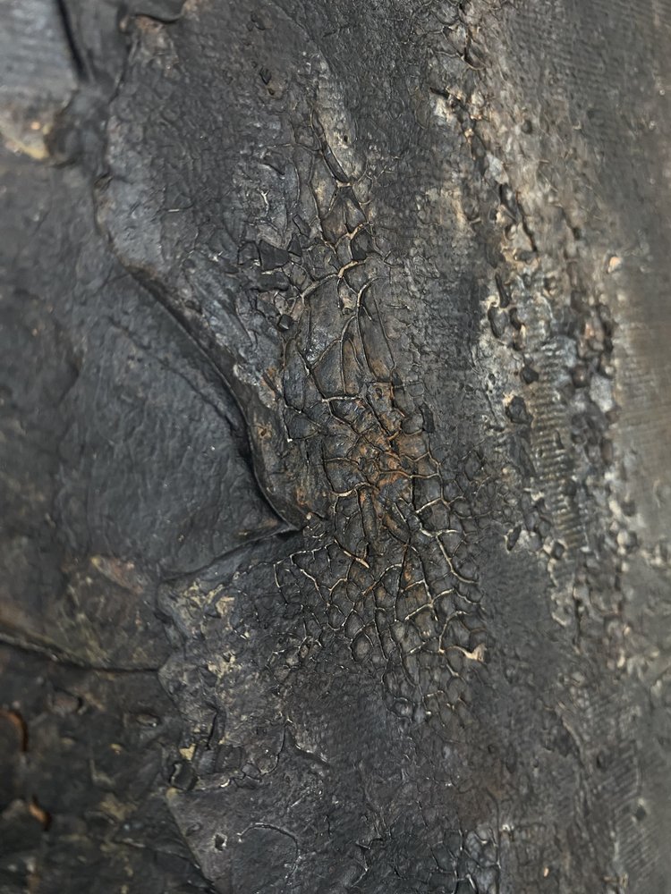  alkotó: Gabriela Aleksandra Szuba