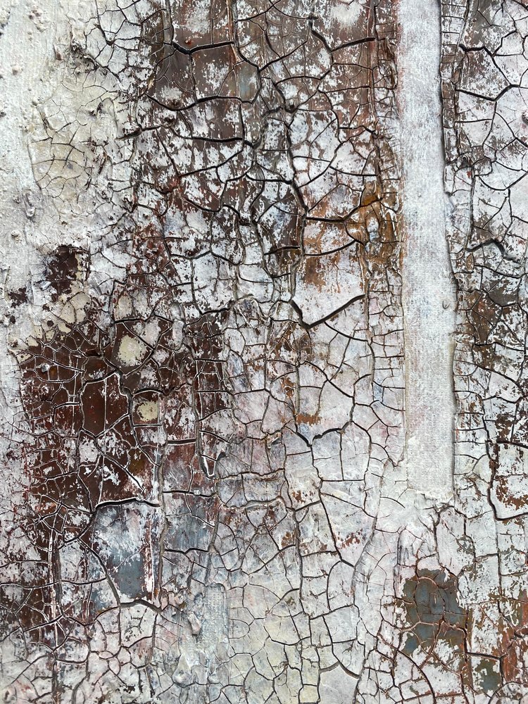  alkotó: Gabriela Aleksandra Szuba