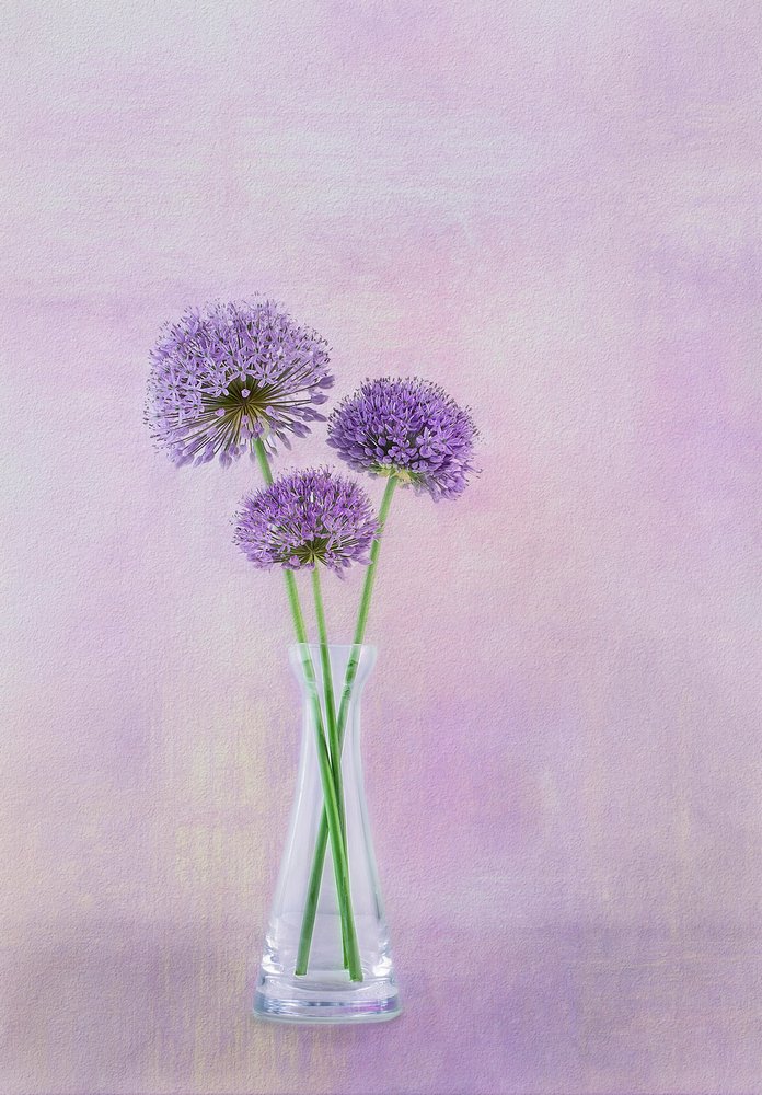  alkotó: Gaille Gray