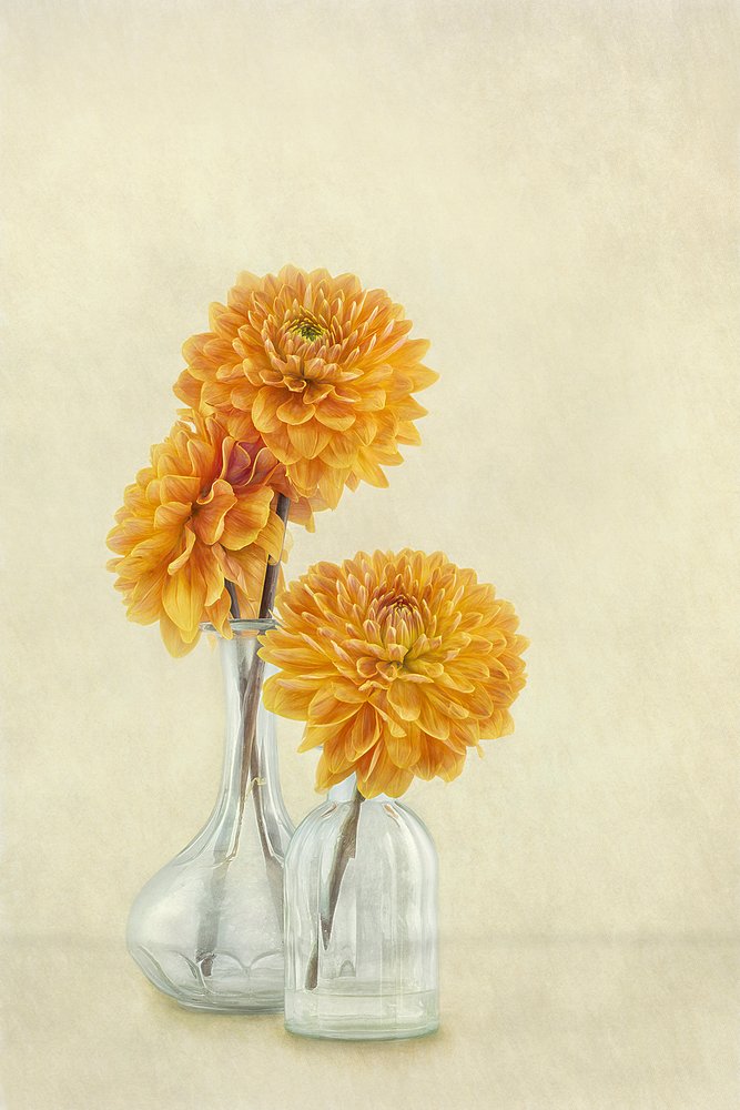  alkotó: Gaille Gray