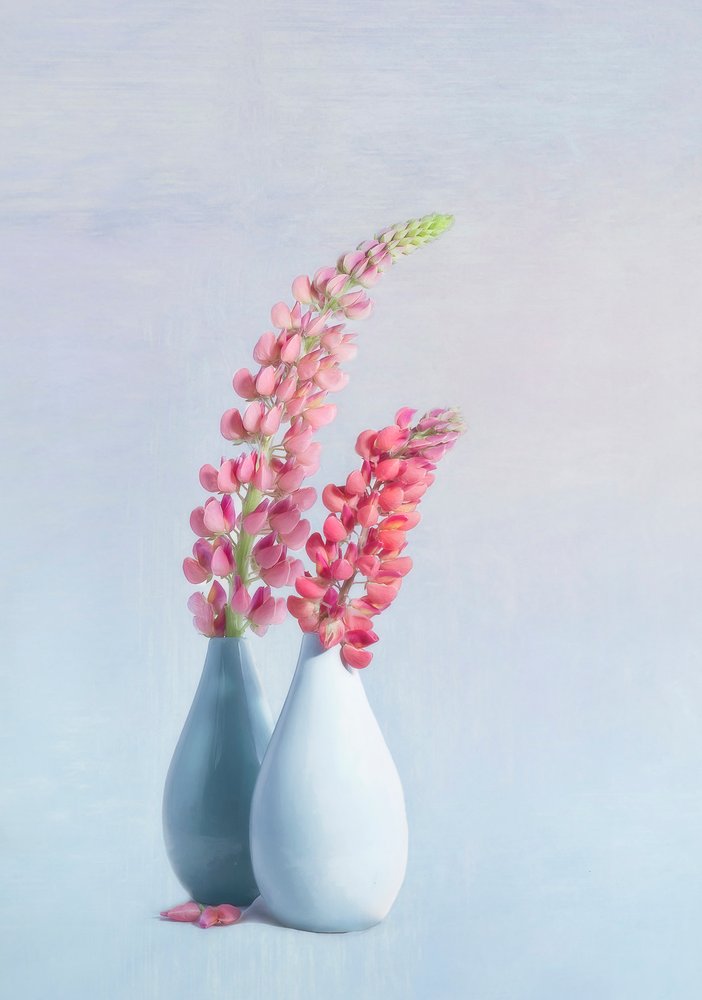  alkotó: Gaille Gray