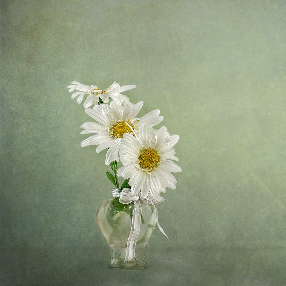  alkotó: Gaille Gray