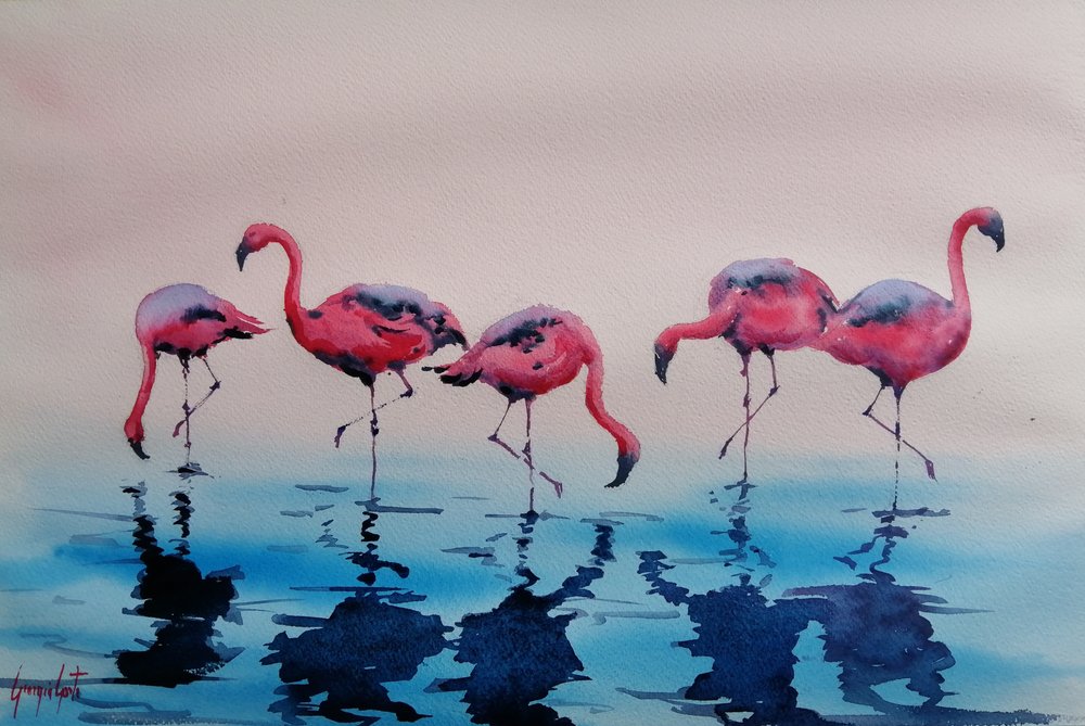 Gázoló rózsaszín flamingók alkotó: Giorgio Gosti