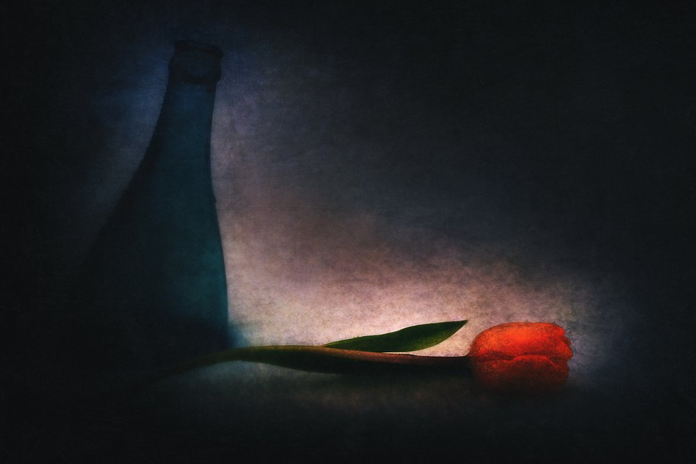  alkotó: Gustav Davidsson
