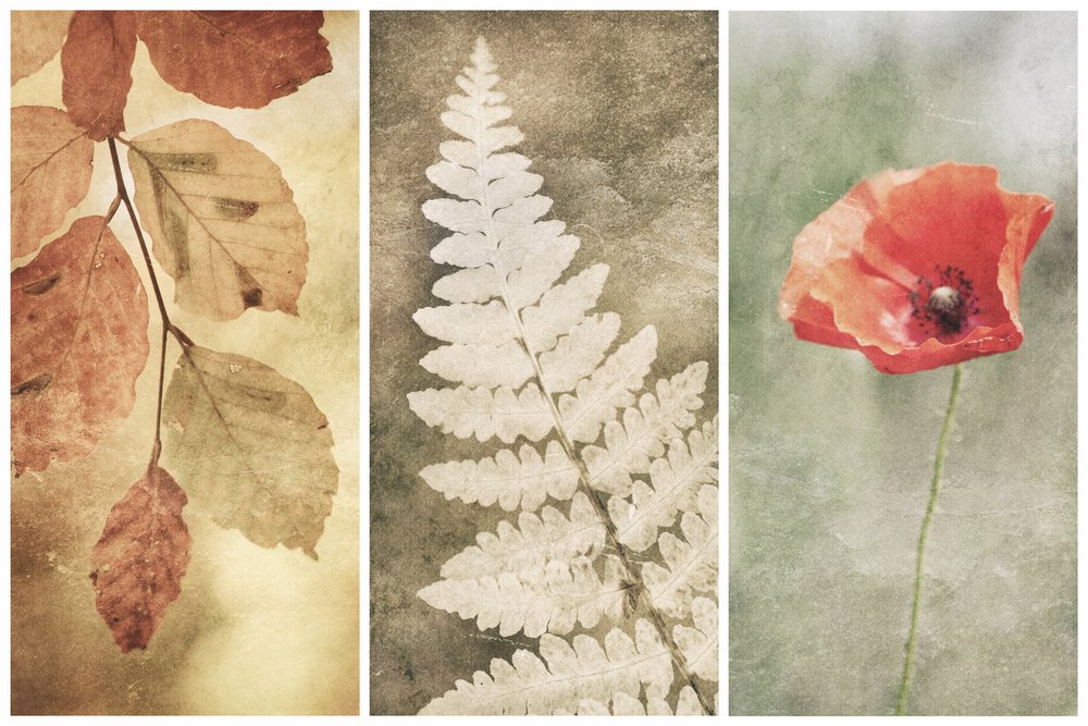 Vintage Nature Trio alkotó: Gustav Davidsson