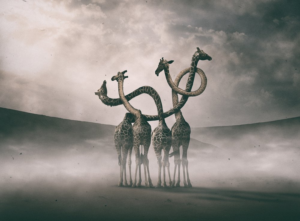  alkotó: Hussain Buhligaha