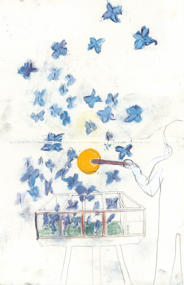  alkotó: Jacqui Orly Ammon