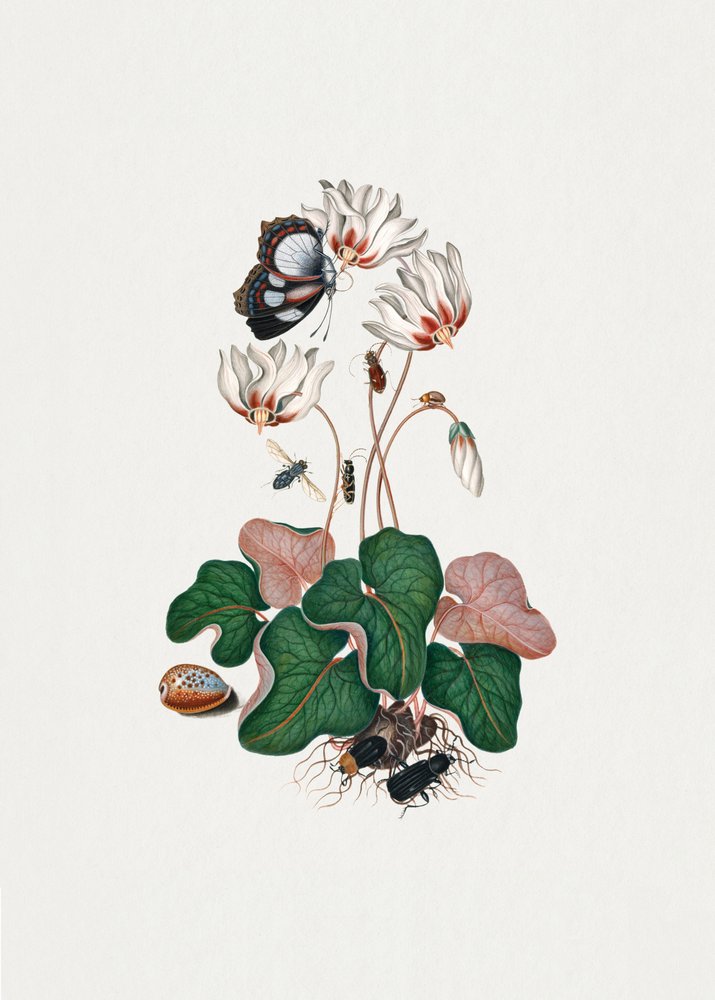  alkotó: James Bolton