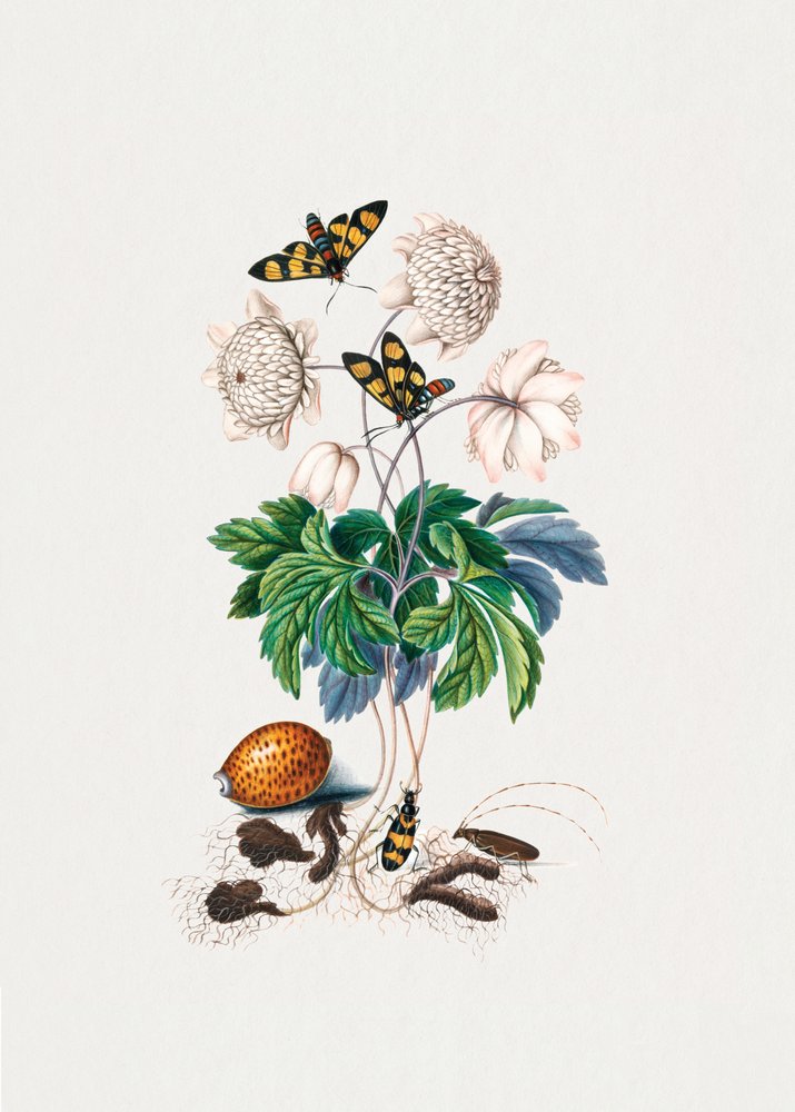  alkotó: James Bolton