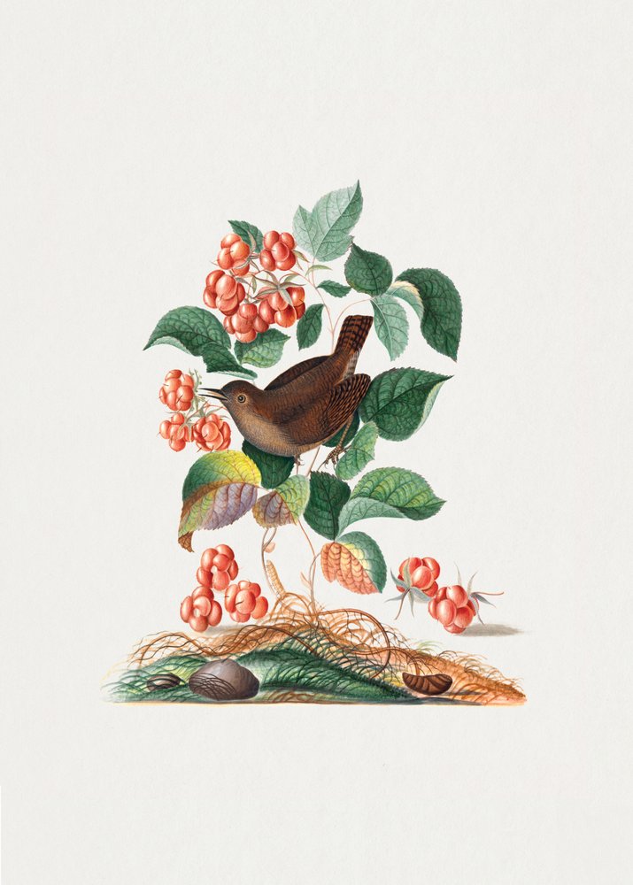  alkotó: James Bolton