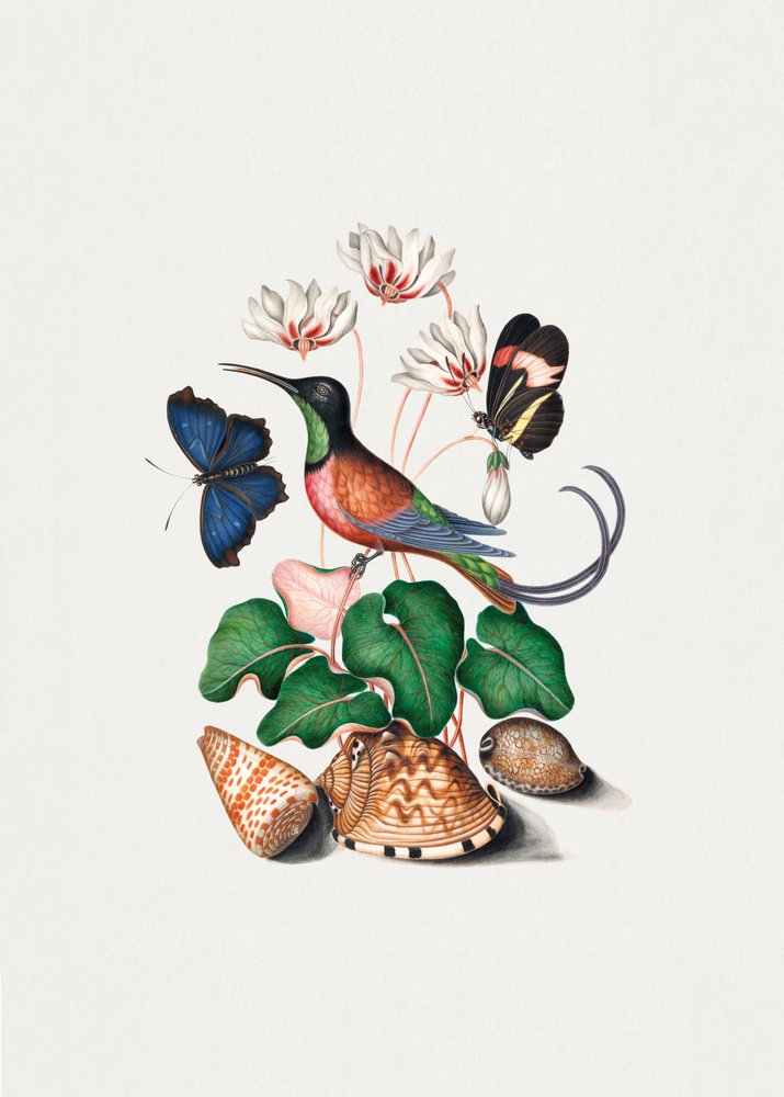  alkotó: James Bolton
