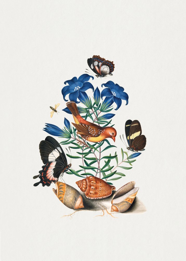  alkotó: James Bolton