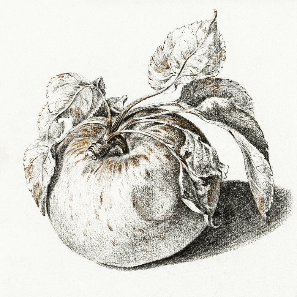 Apple alkotó: Jean Bernard
