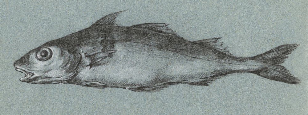 Fish Green (1775–1833) alkotó: Jean Bernard