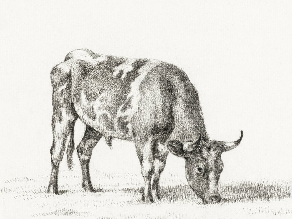 Legelésző bik alkotó: Jean Bernard