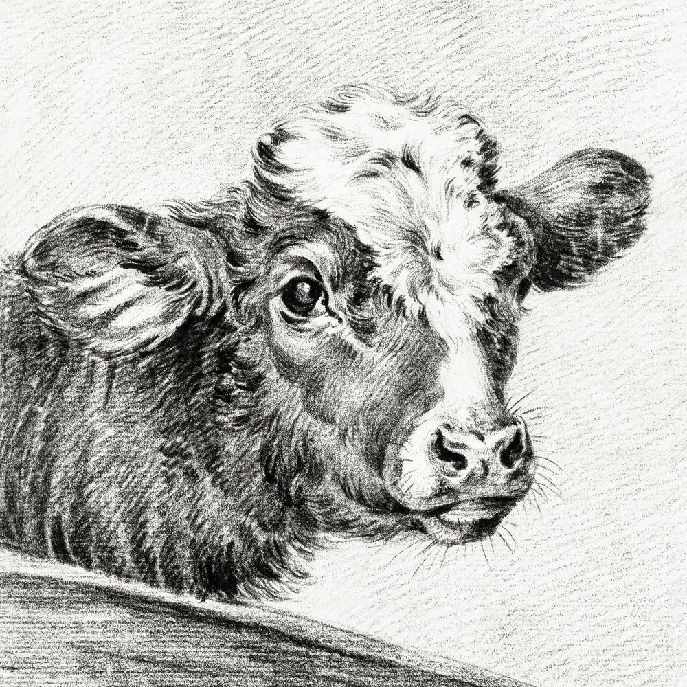 Tehénfej alkotó: Jean Bernard