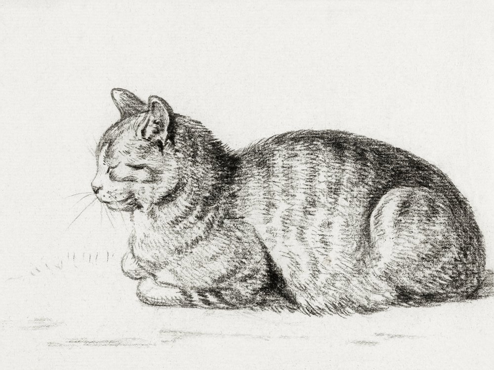 Fekvő macska (1811) alkotó: Jean Bernard