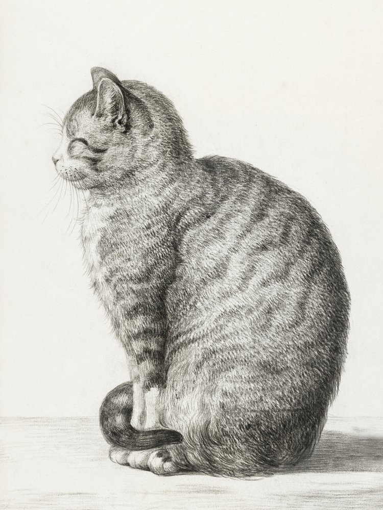 Ülő macska (1815) alkotó: Jean Bernard
