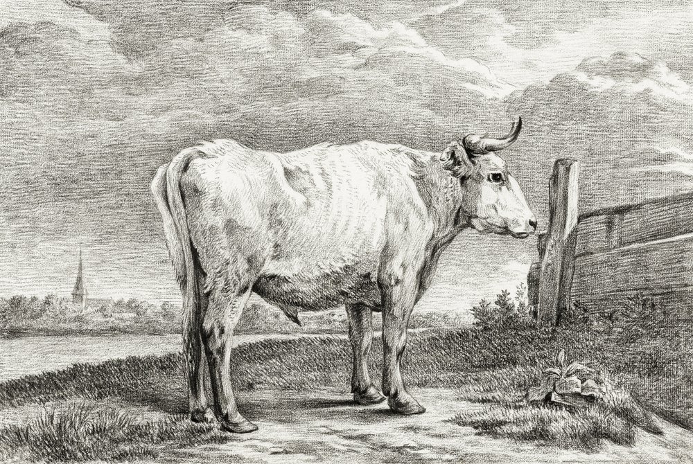 Álló Bika (1817) alkotó: Jean Bernard
