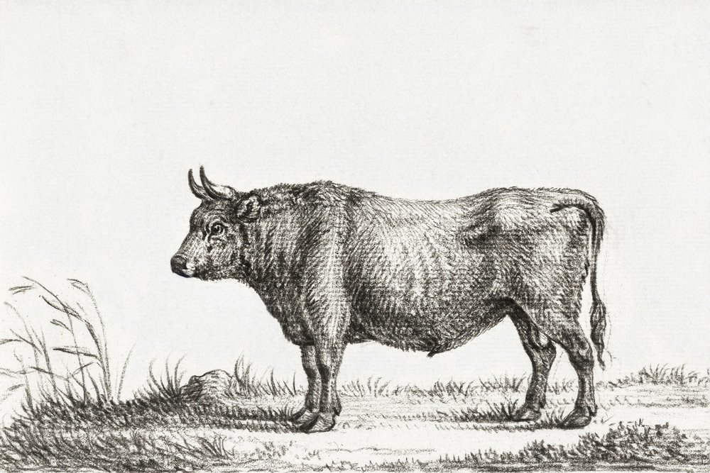 Álló Bika alkotó: Jean Bernard