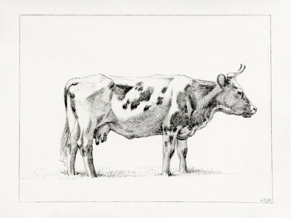 Álló tehén (1820) alkotó: Jean Bernard