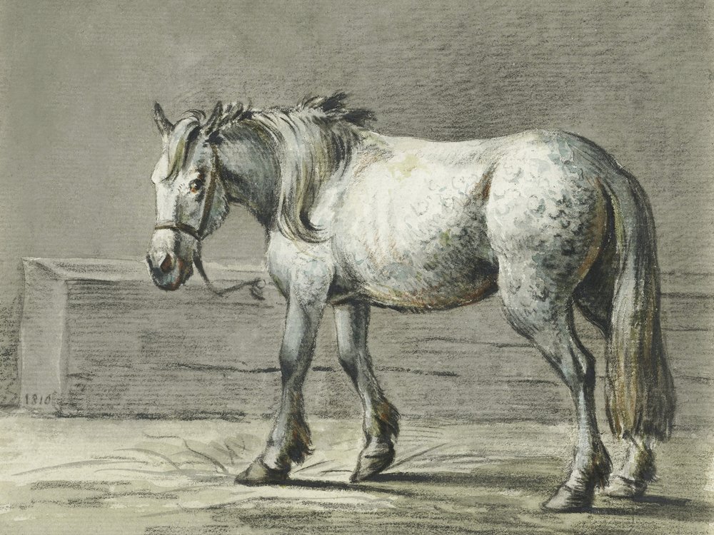 Álló ló (1810–1816) Jean Bernard alkotása alkotó: Jean Bernard