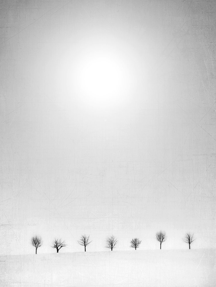  alkotó: Jeffrey Hummel