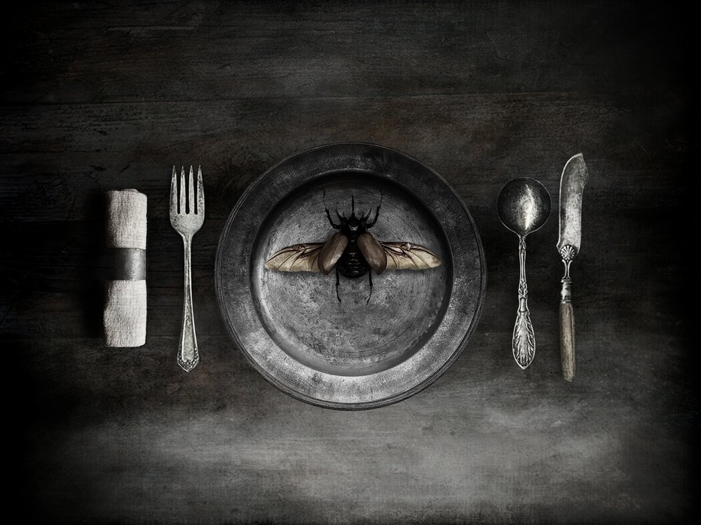 alkotó: Jeffrey Hummel