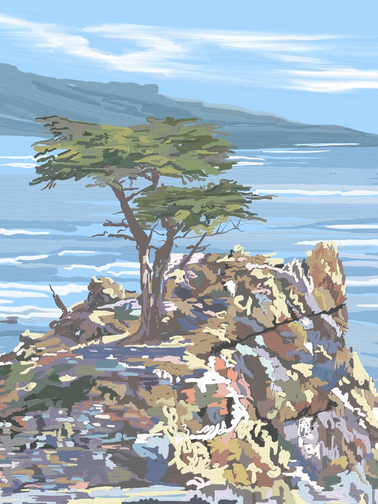 Lone Cypress tengerre néző alkotó: Jenna Alheit