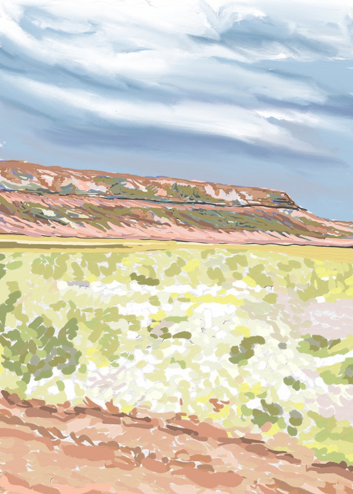 Southwest Mesa Vista alkotó: Jenna Alheit