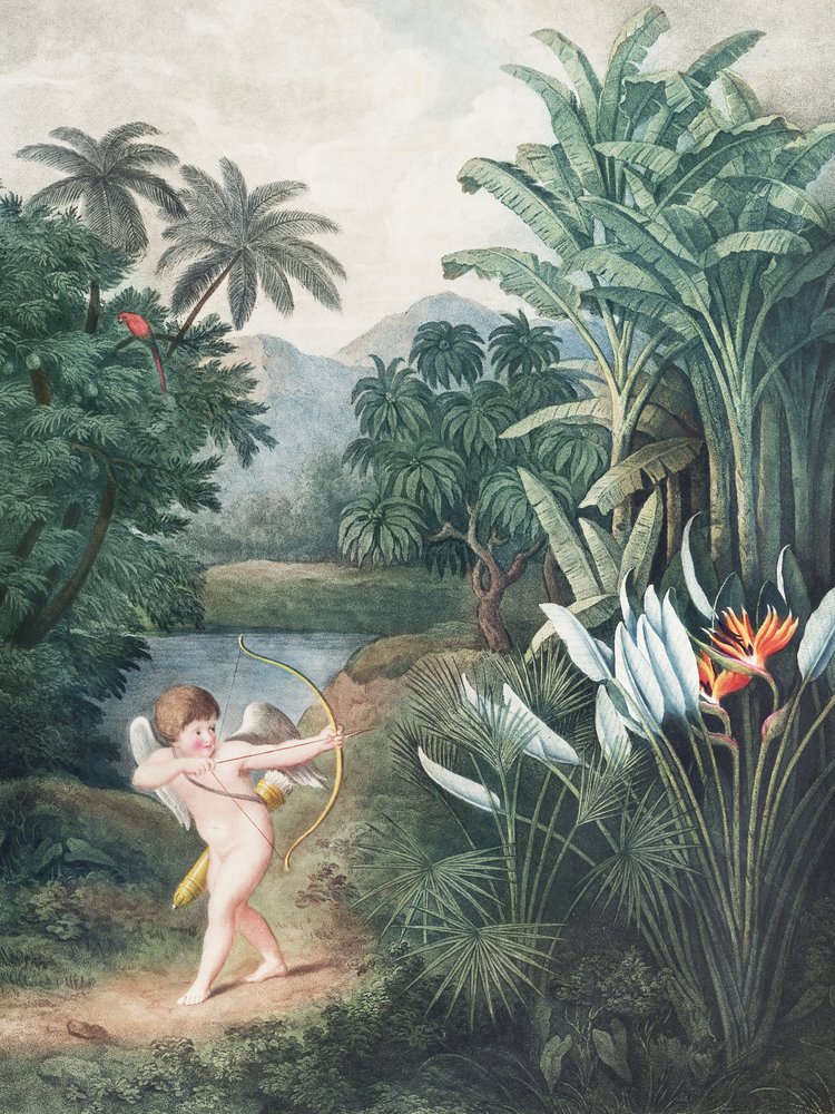 Ámor, aki a szerelemmel ihleti a növényeket – a Flora-templomból (1807) – Robert John Thornton alkotó: John Thornton
