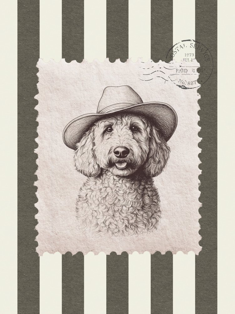 Goldendoodle cowboykalap alkotó: Jolly and Dash
