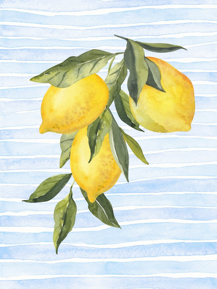 Napos citrusok kék alapon alkotó: Jolly and Dash