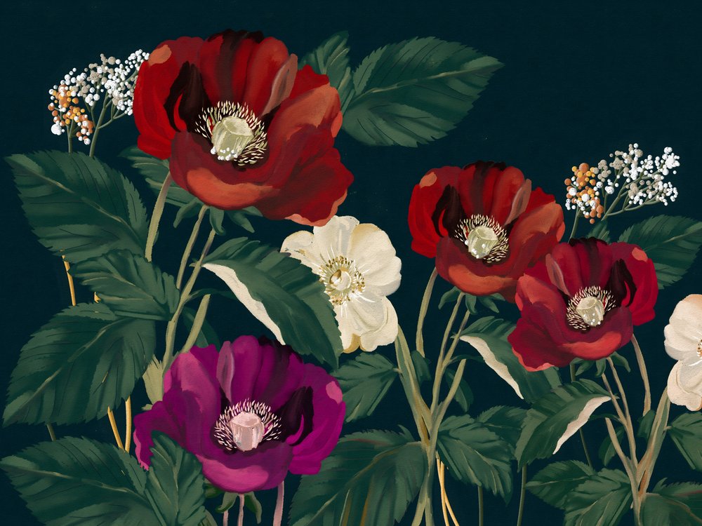 Elegáns sötét pipacsok alkotó: Josie George