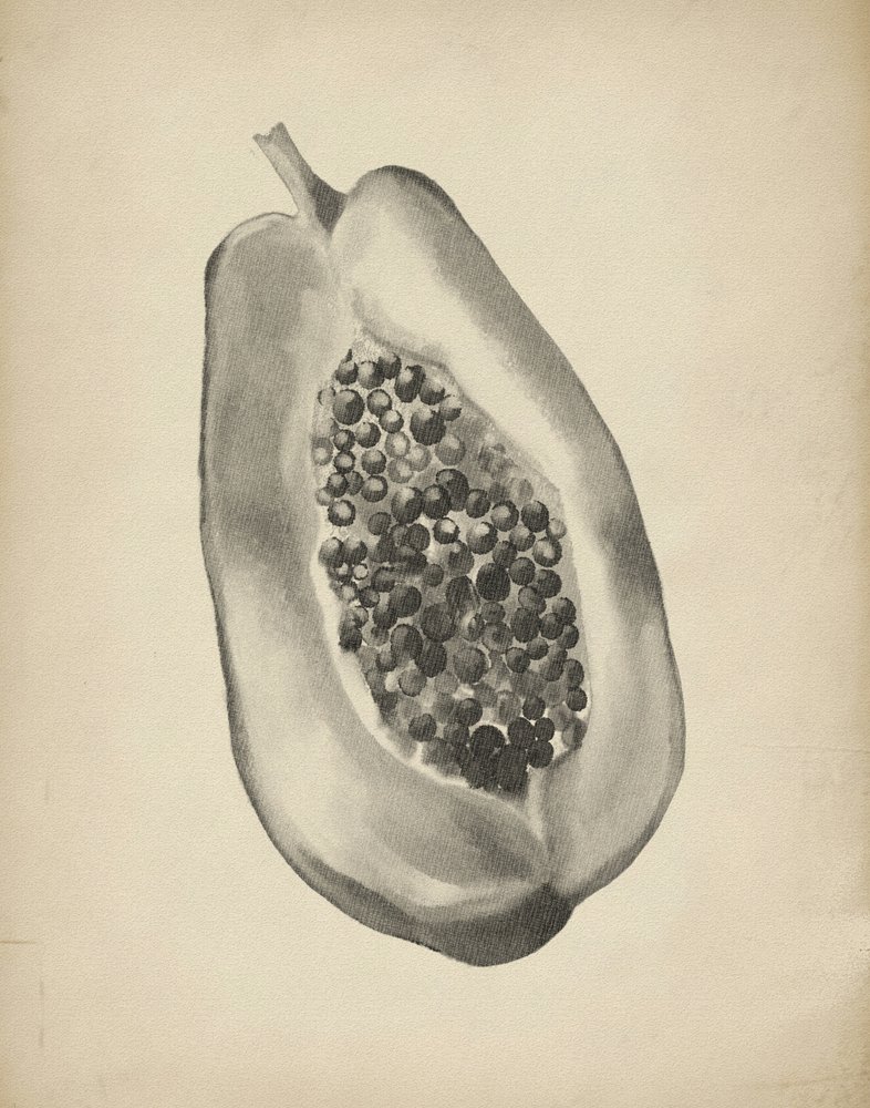 Fél trópusi papaya alkotó: Josie George