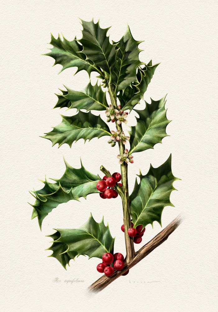  alkotó: Juan Hernaz