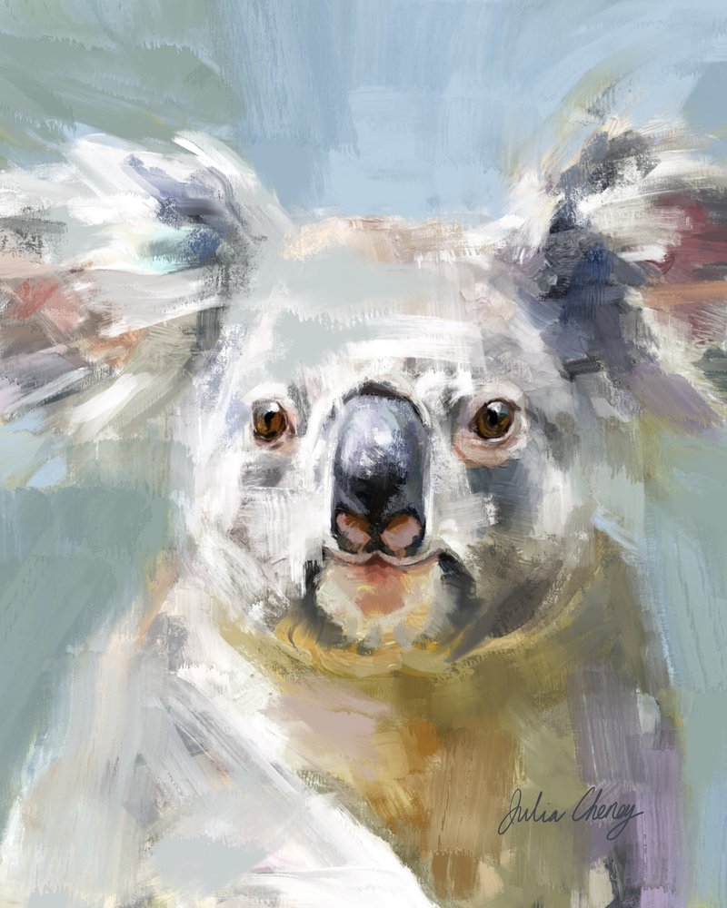 A koala gyengéd pillantása alkotó: Julia Cheney