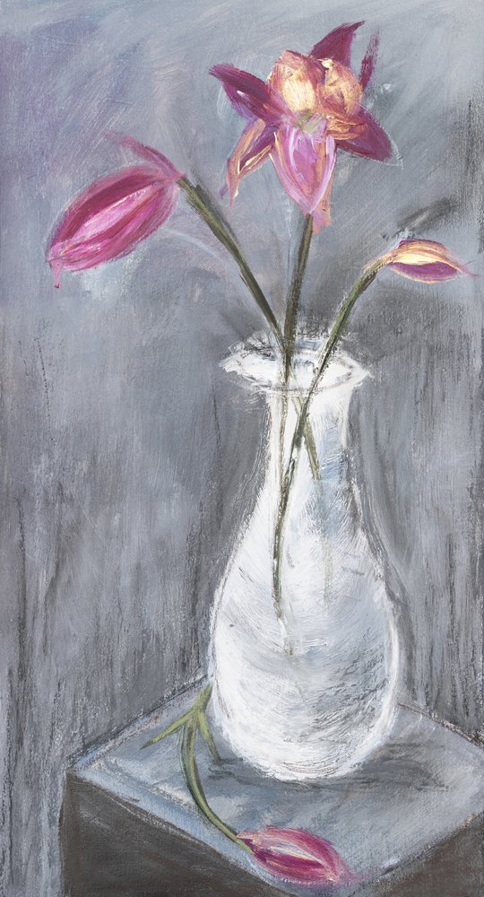  alkotó: Julia Contacessi