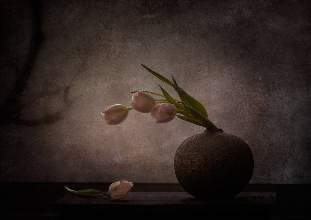 Elegáns, borongós tulipánok alkotó: Katarina Holmström