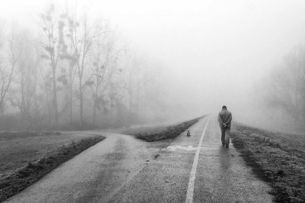  alkotó: Krunoslav Nevistic