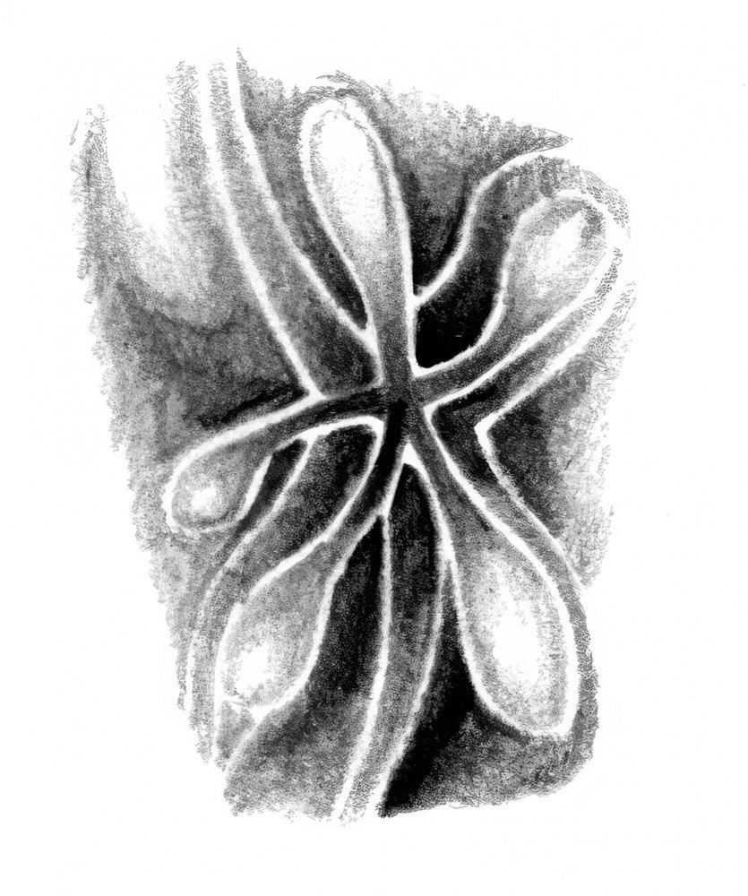  alkotó: Kulik