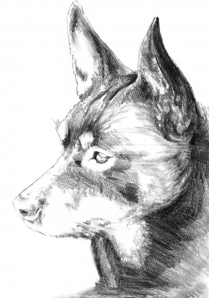  alkotó: Kulik
