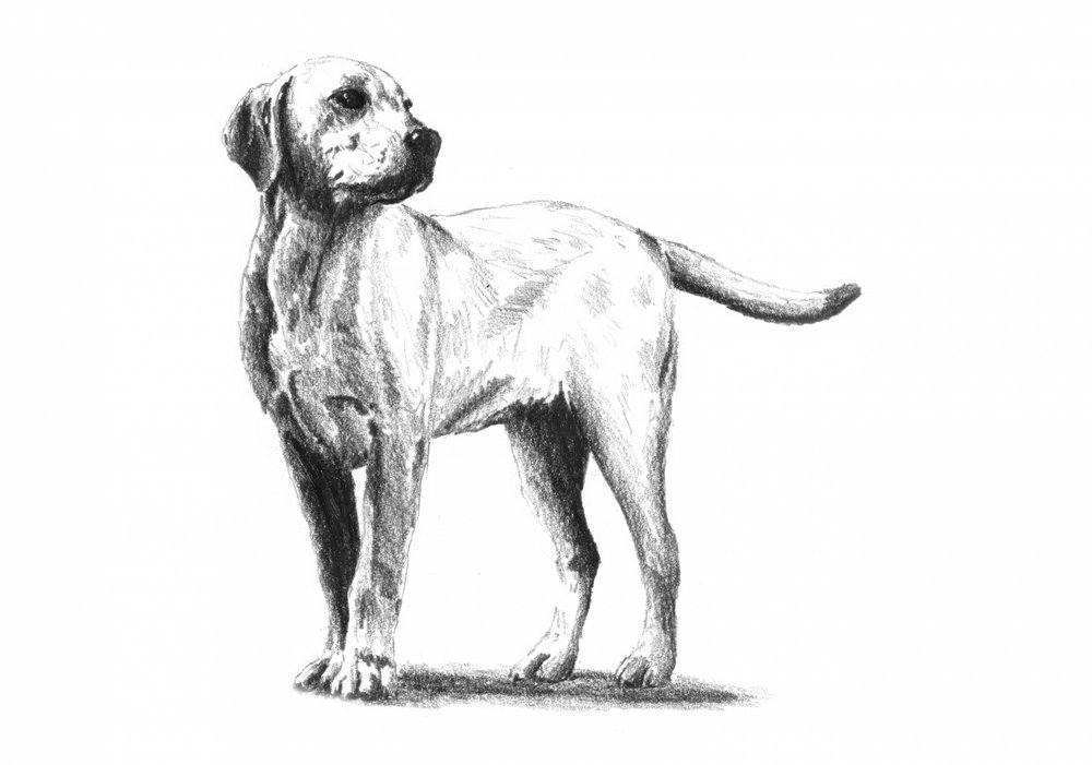  alkotó: Kulik