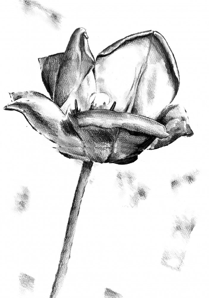  alkotó: Kulik