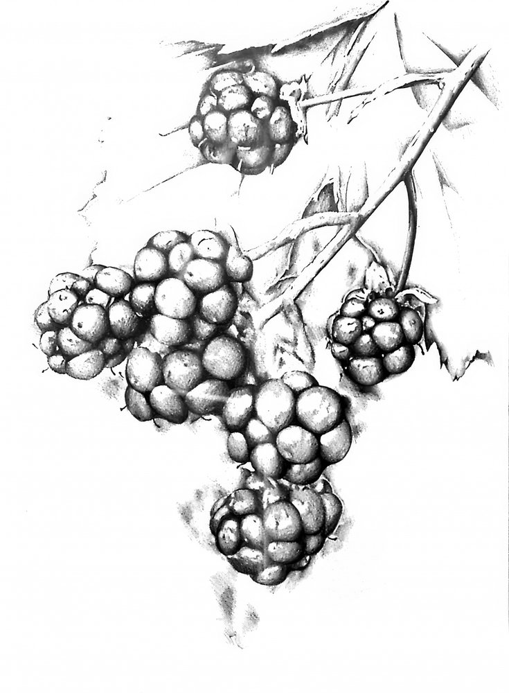  alkotó: Kulik