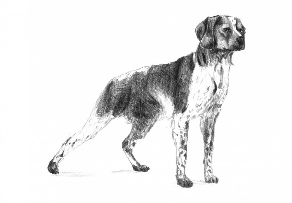  alkotó: Kulik